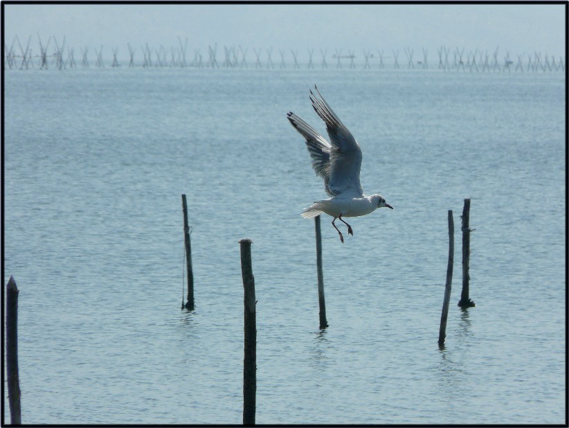 Il Gargano